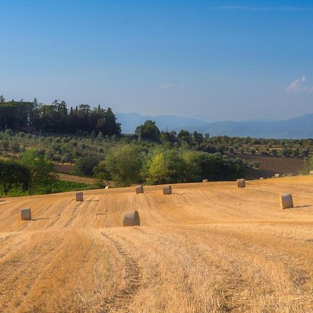 Poste Del Chiugi Βίλα Petrignano Del Lago Εξωτερικό φωτογραφία